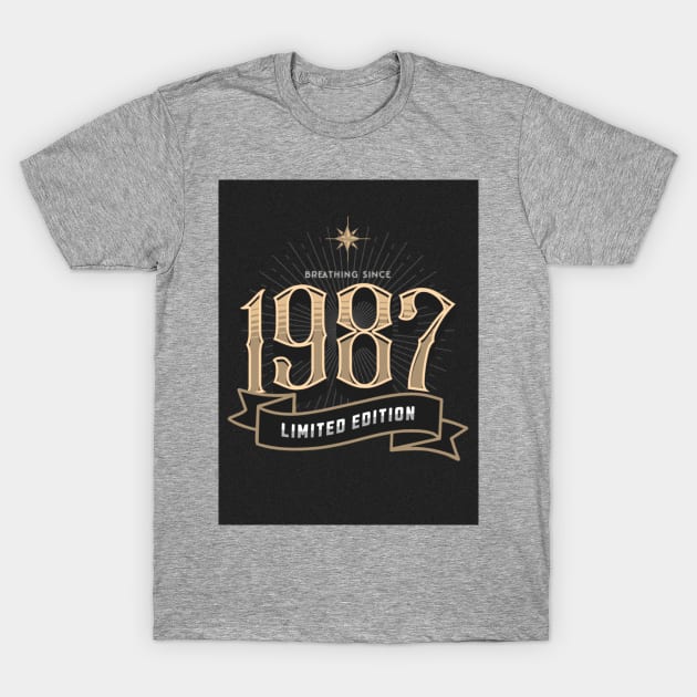 Born in 1987 T-Shirt by TheSoldierOfFortune